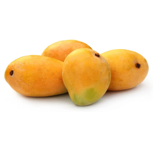 Mango-Anwar-Ratol-1.png