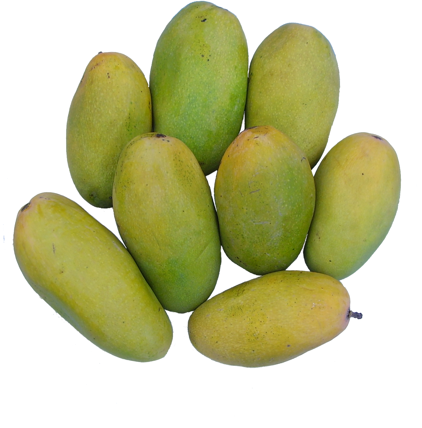 Mango-Dusehri-01.png